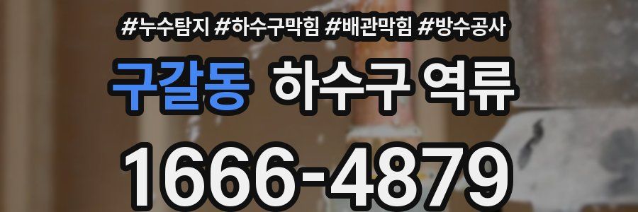 구갈동 하수구 역류