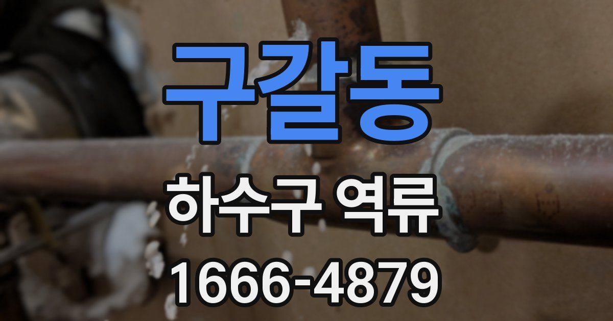 구갈동 하수구 역류