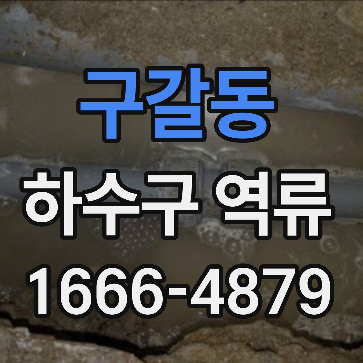 구갈동 하수구 역류