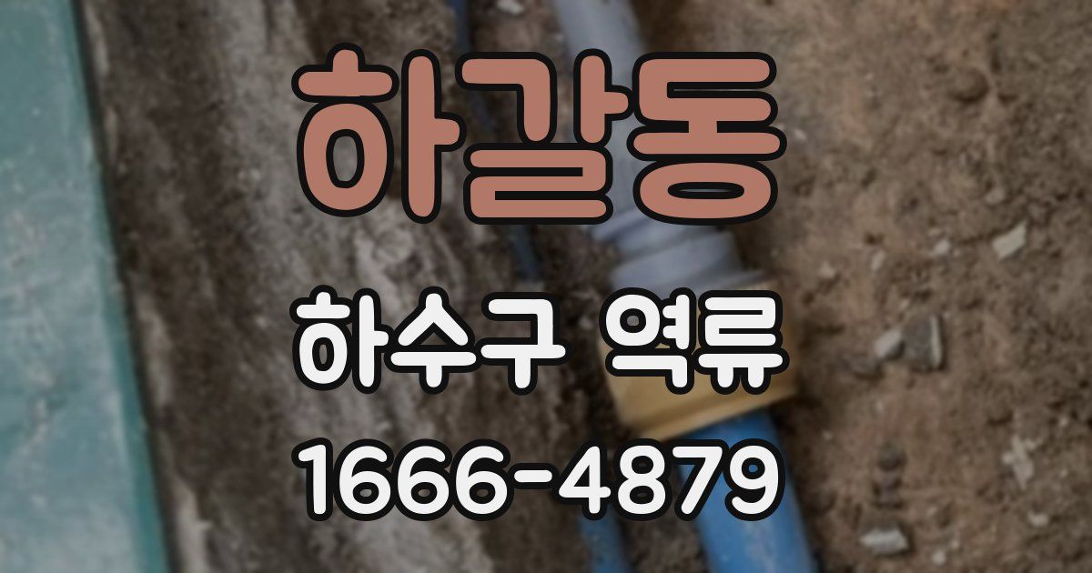 하갈동 하수구 역류