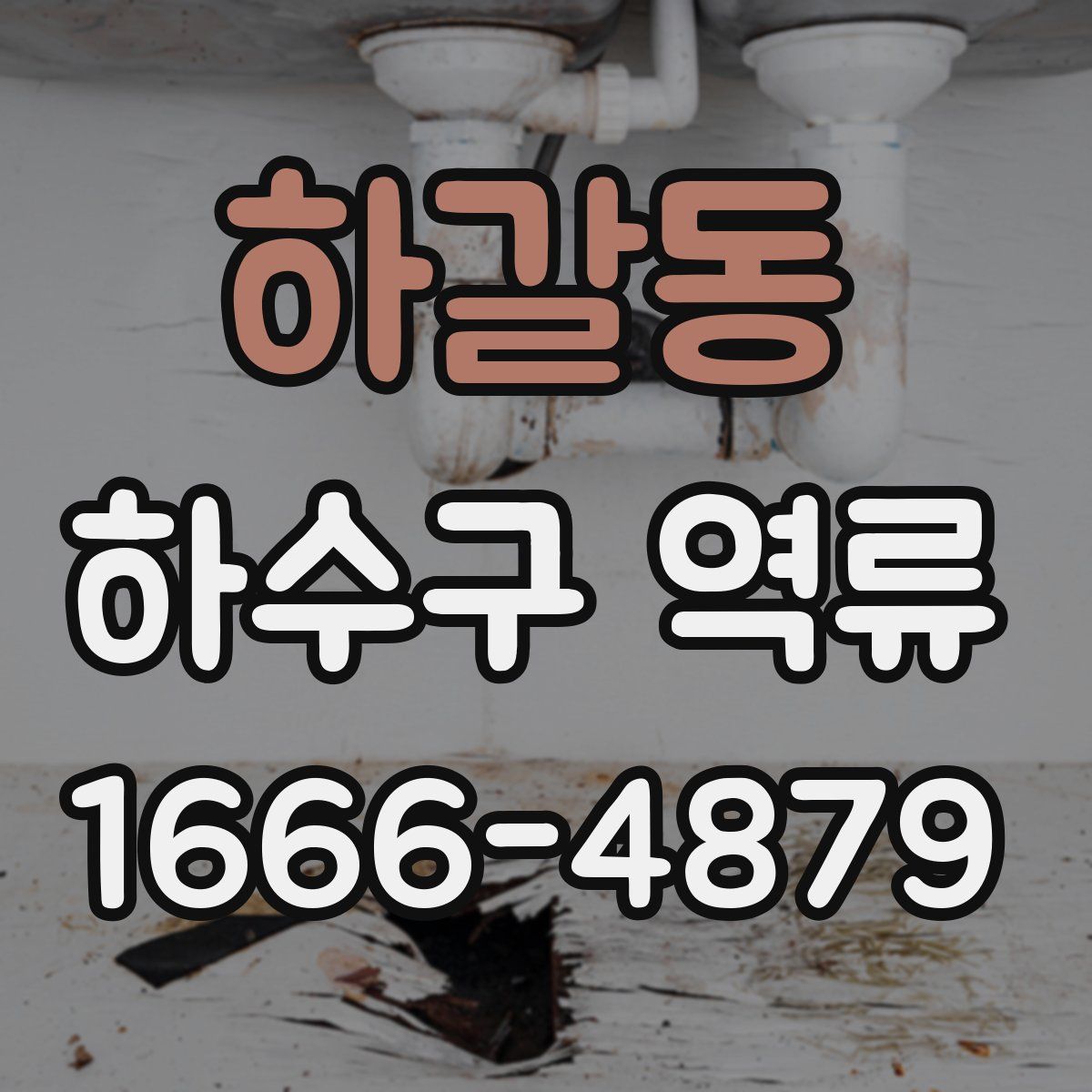 하갈동 하수구 역류