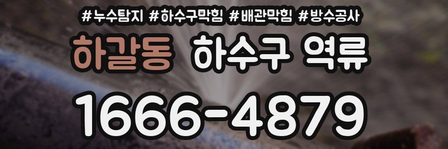 하갈동 하수구 역류