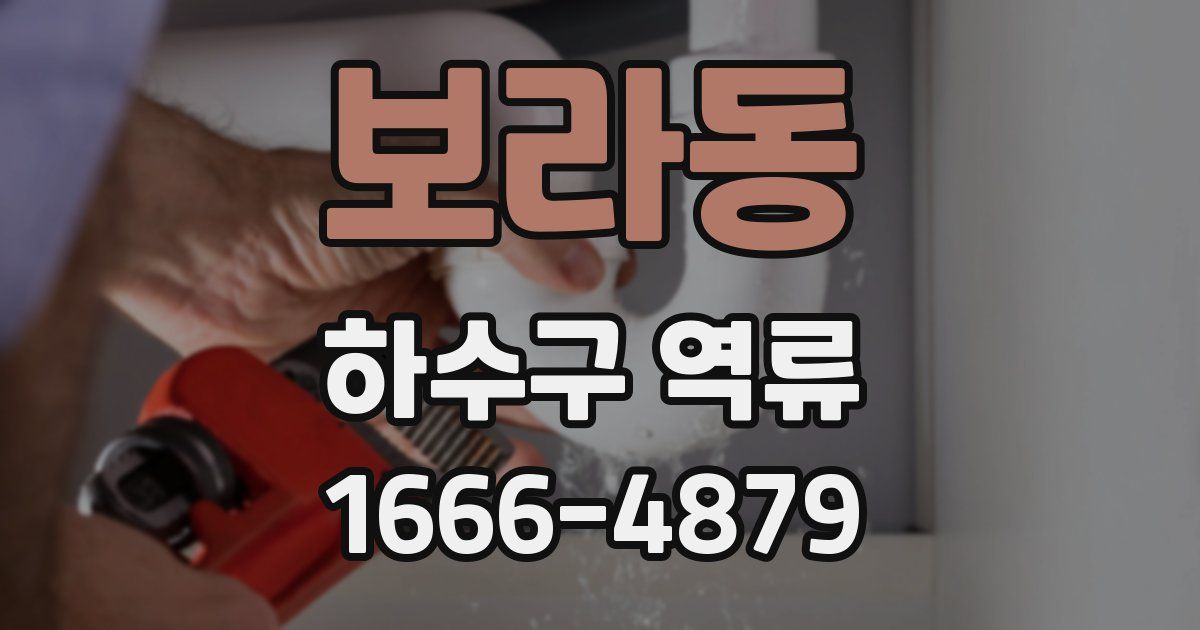 보라동 하수구 역류
