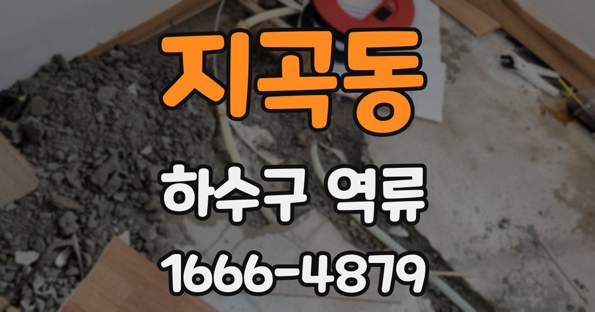 지곡동 하수구 역류