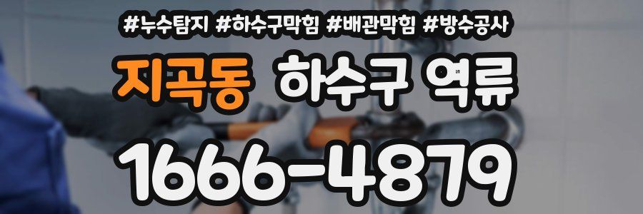 지곡동 하수구 역류