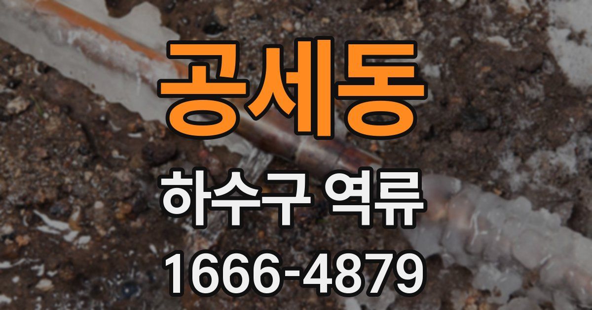 공세동 하수구 역류