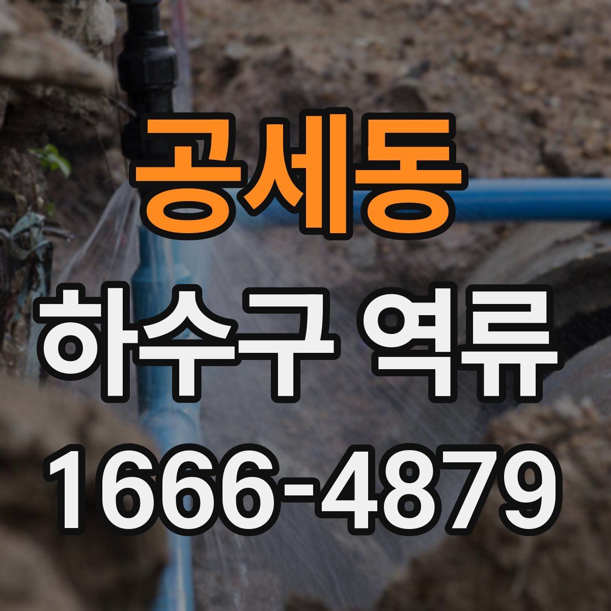 공세동 하수구 역류