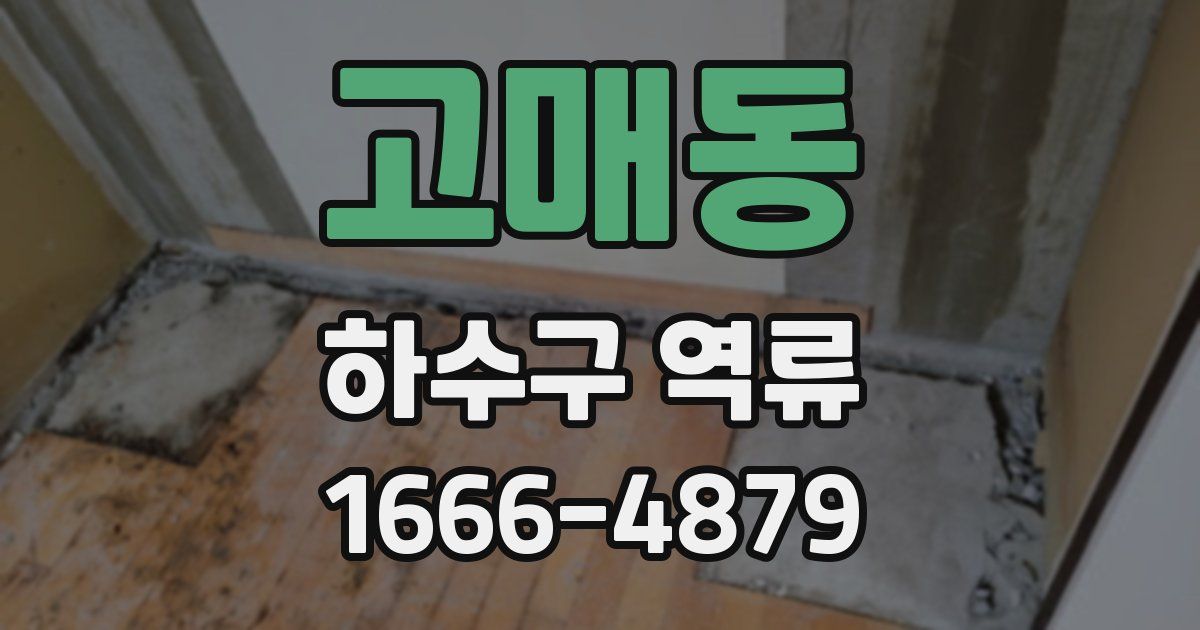 고매동 하수구 역류