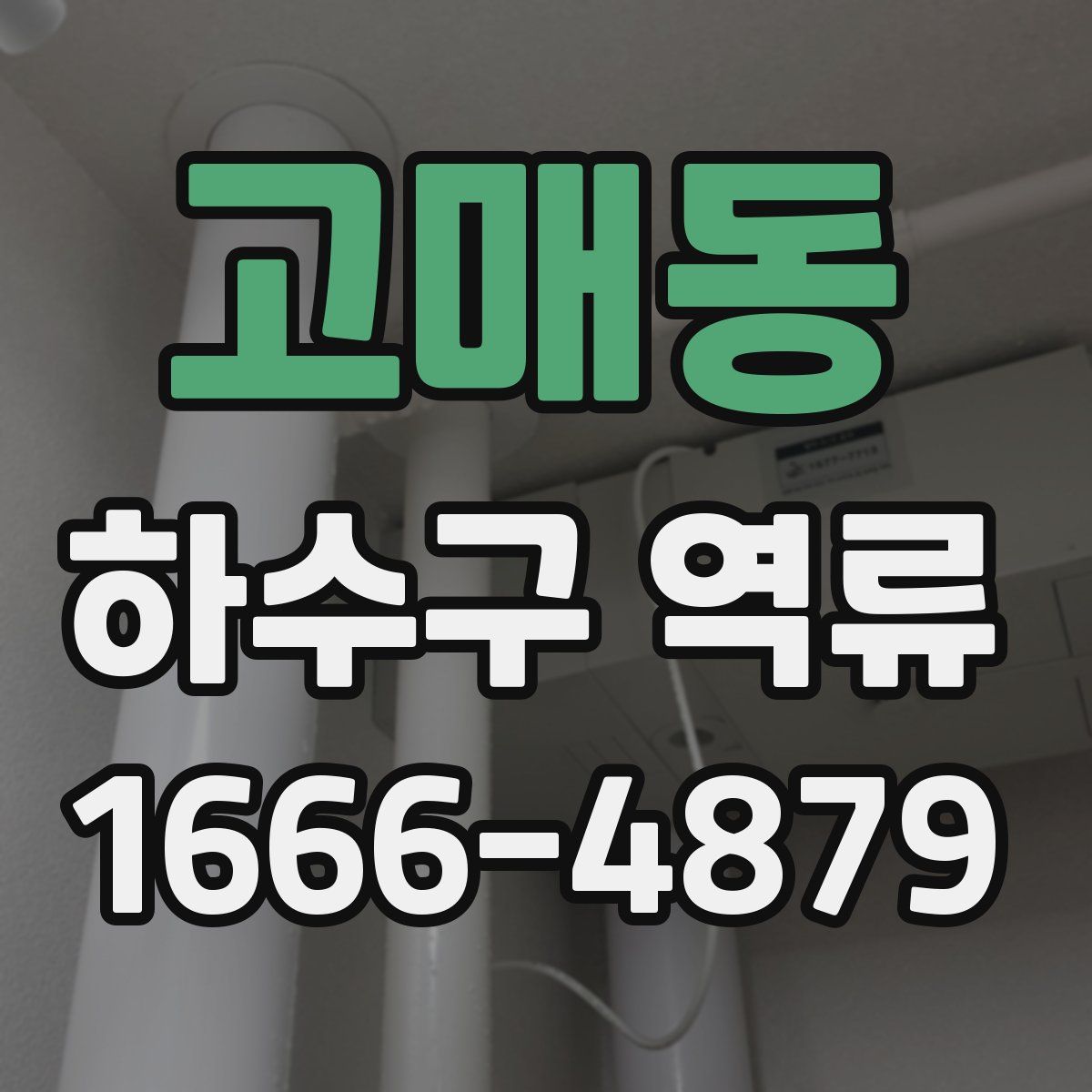 고매동 하수구 역류