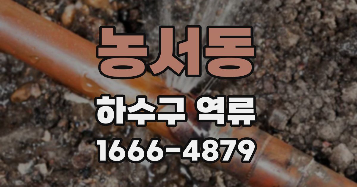 농서동 하수구 역류