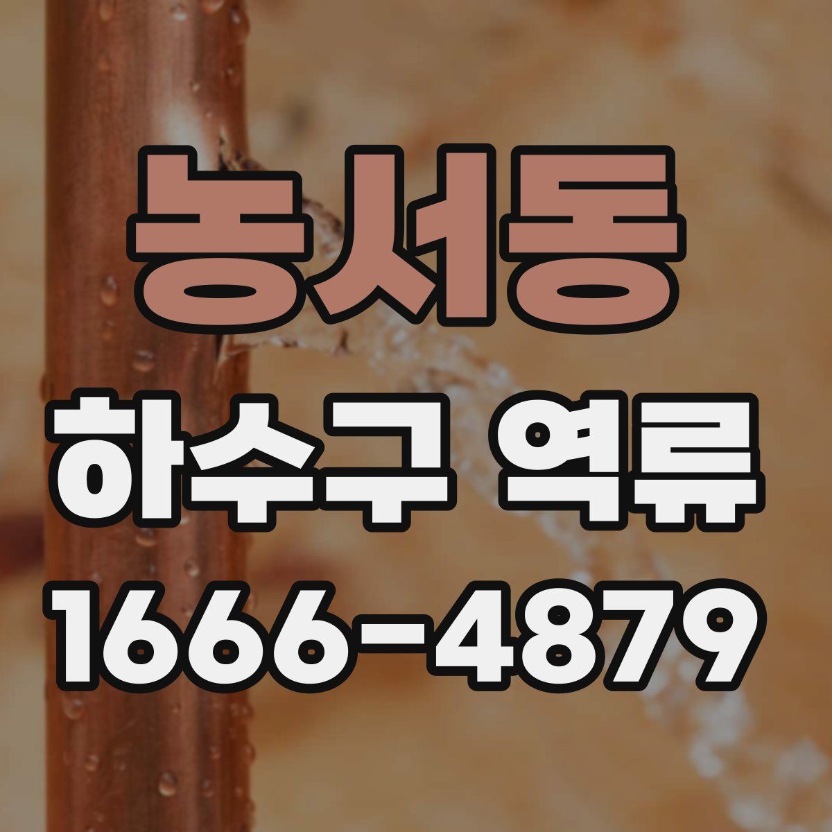 농서동 하수구 역류