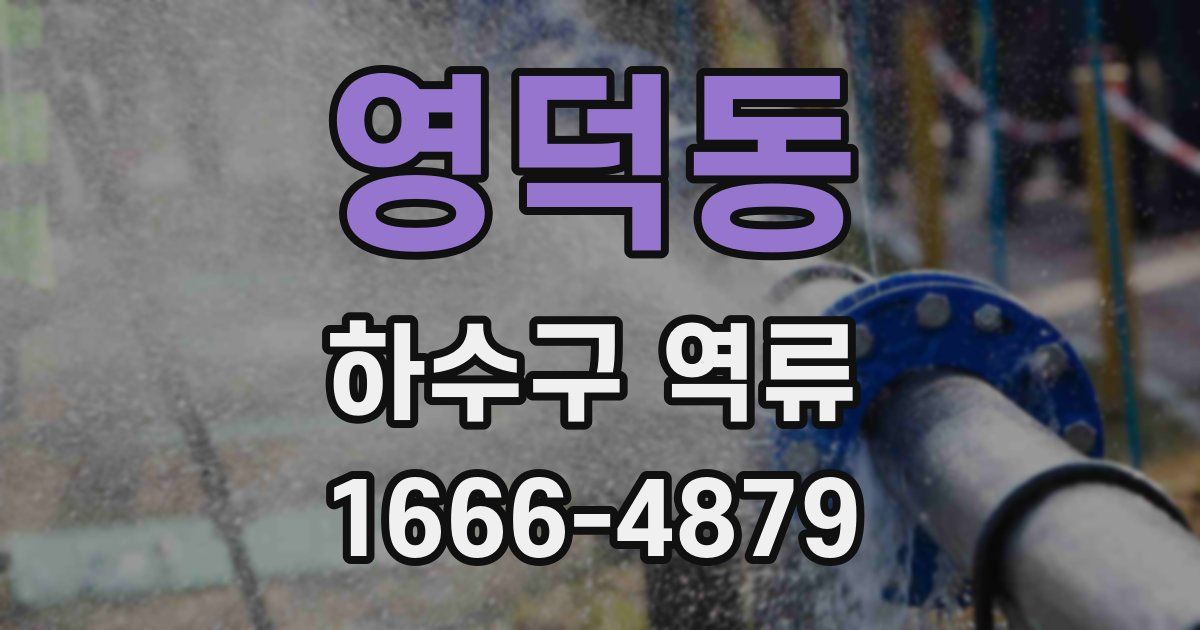 영덕동 하수구 역류