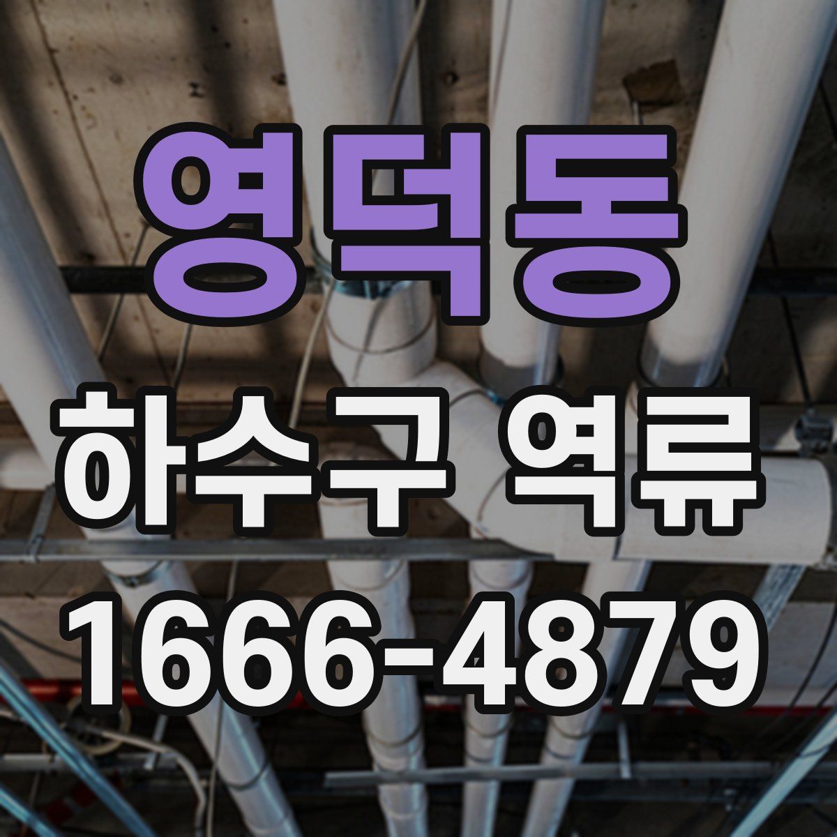 영덕동 하수구 역류