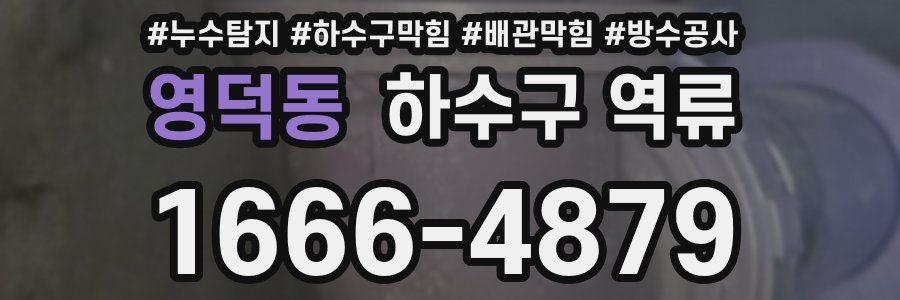 영덕동 하수구 역류