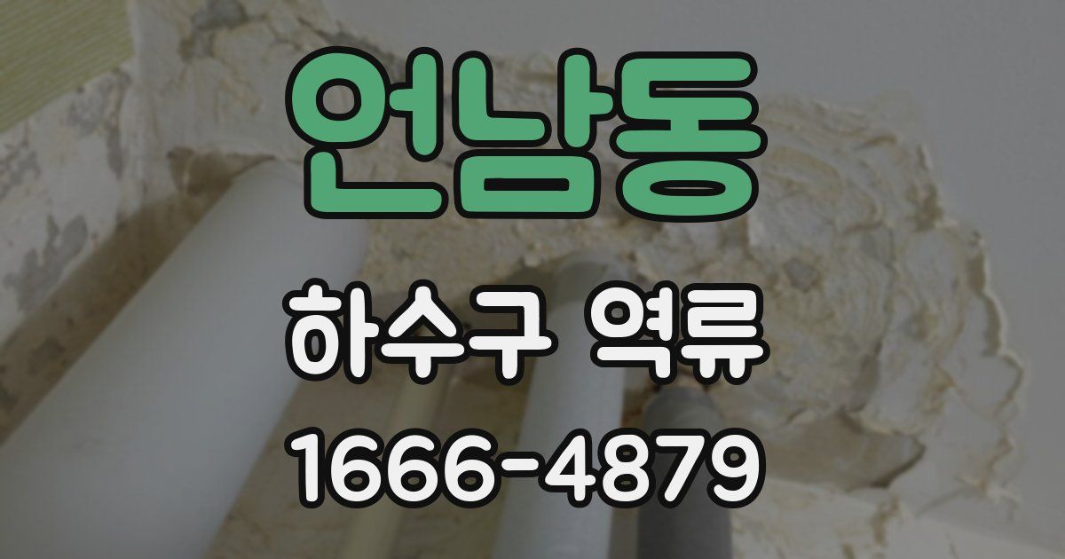 언남동 하수구 역류