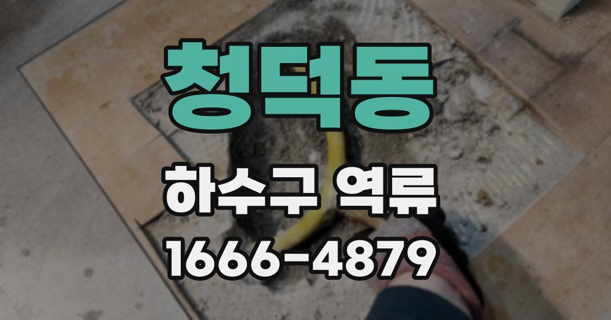 청덕동 하수구 역류