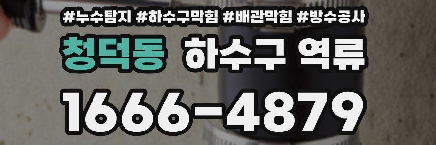 청덕동 하수구 역류