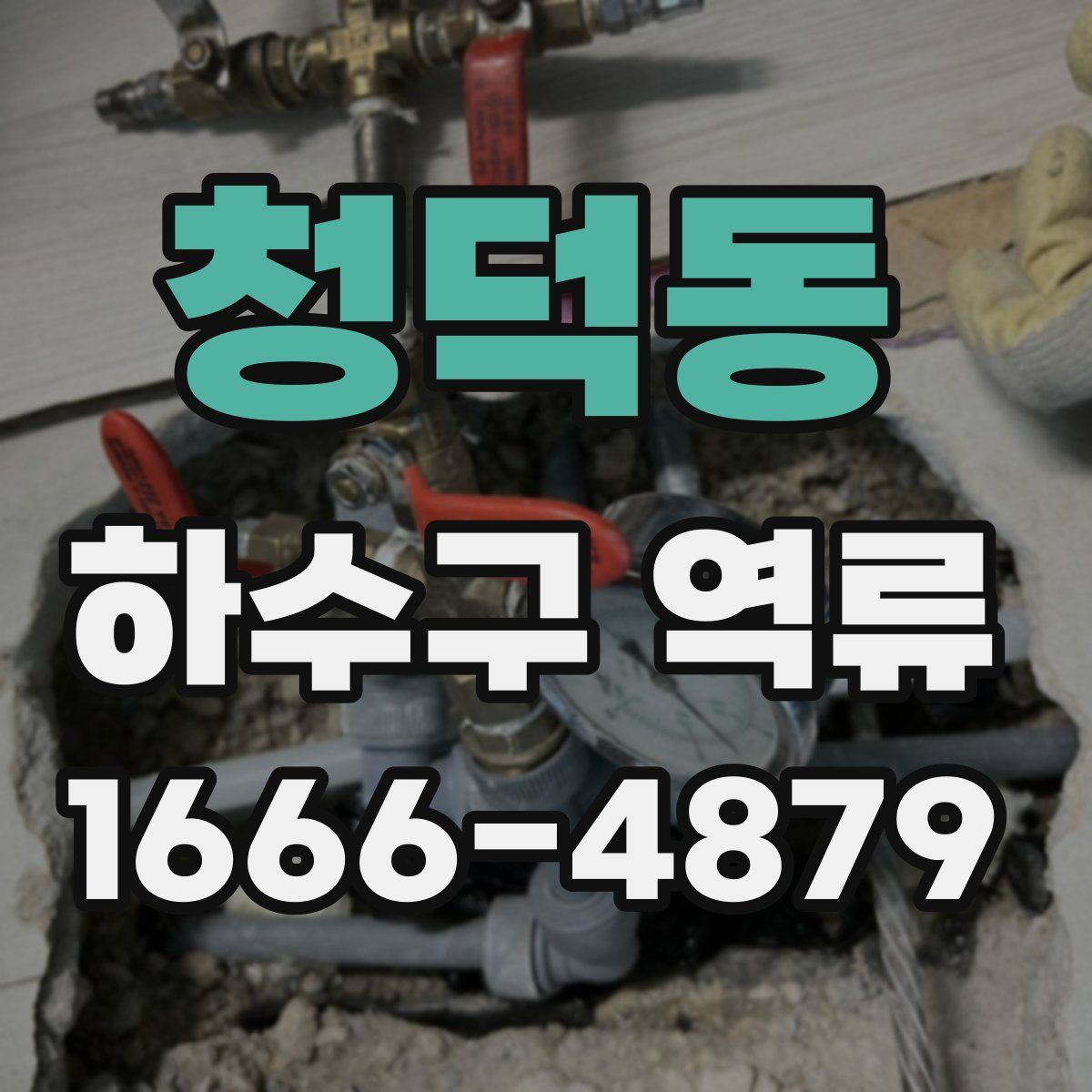 청덕동 하수구 역류