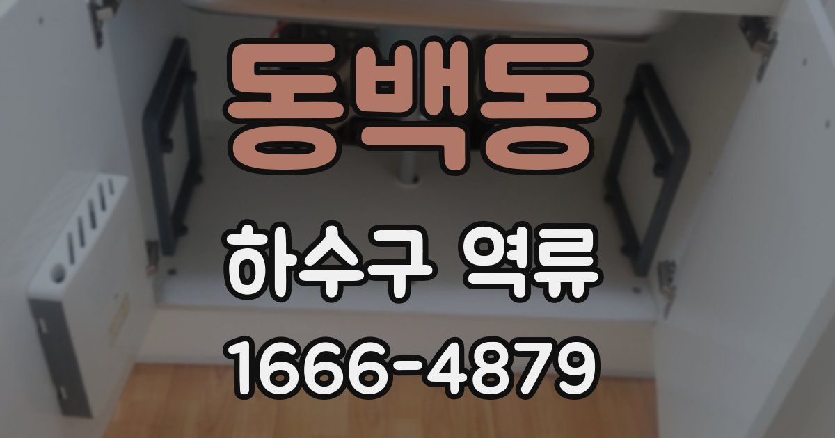 동백동 하수구 역류