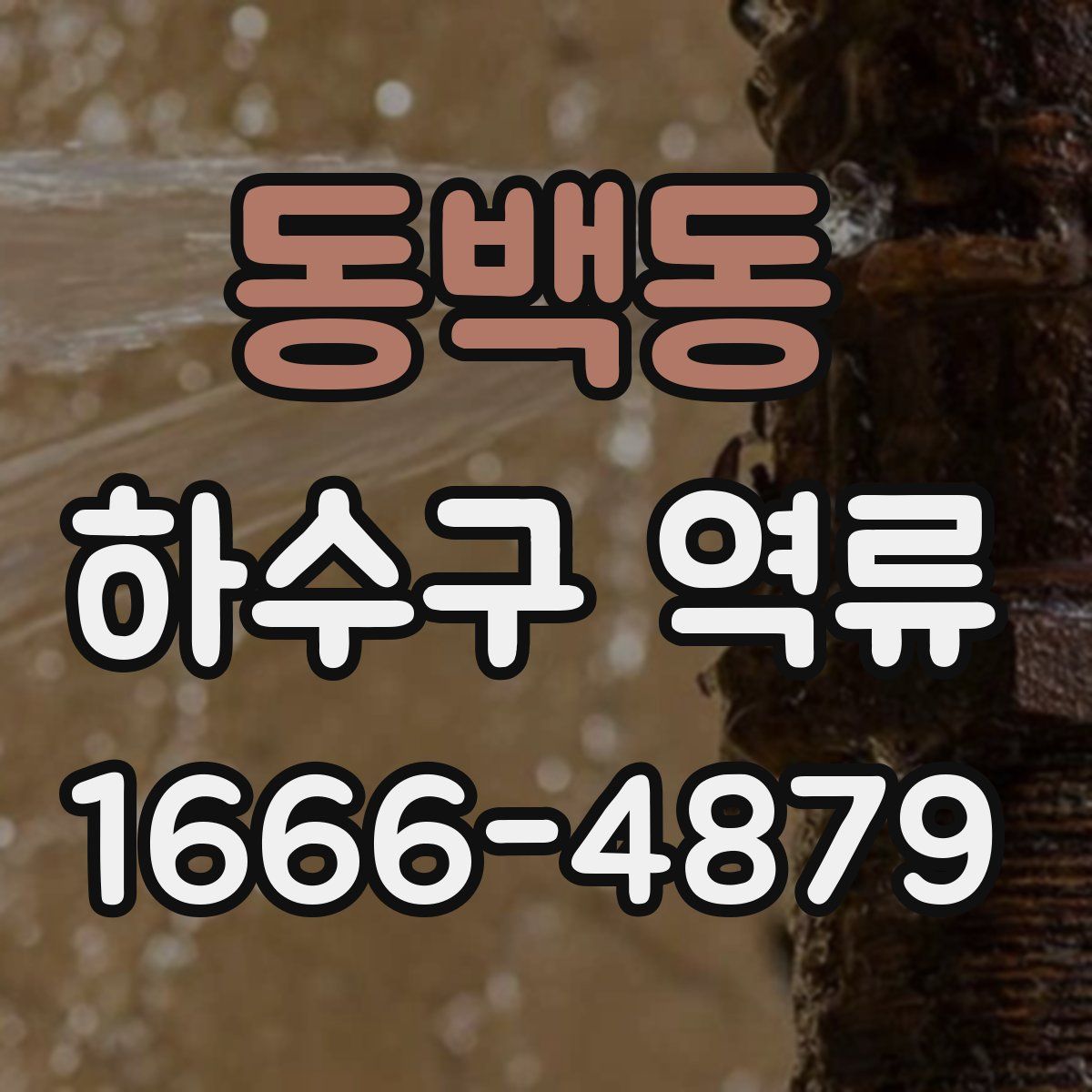 동백동 하수구 역류