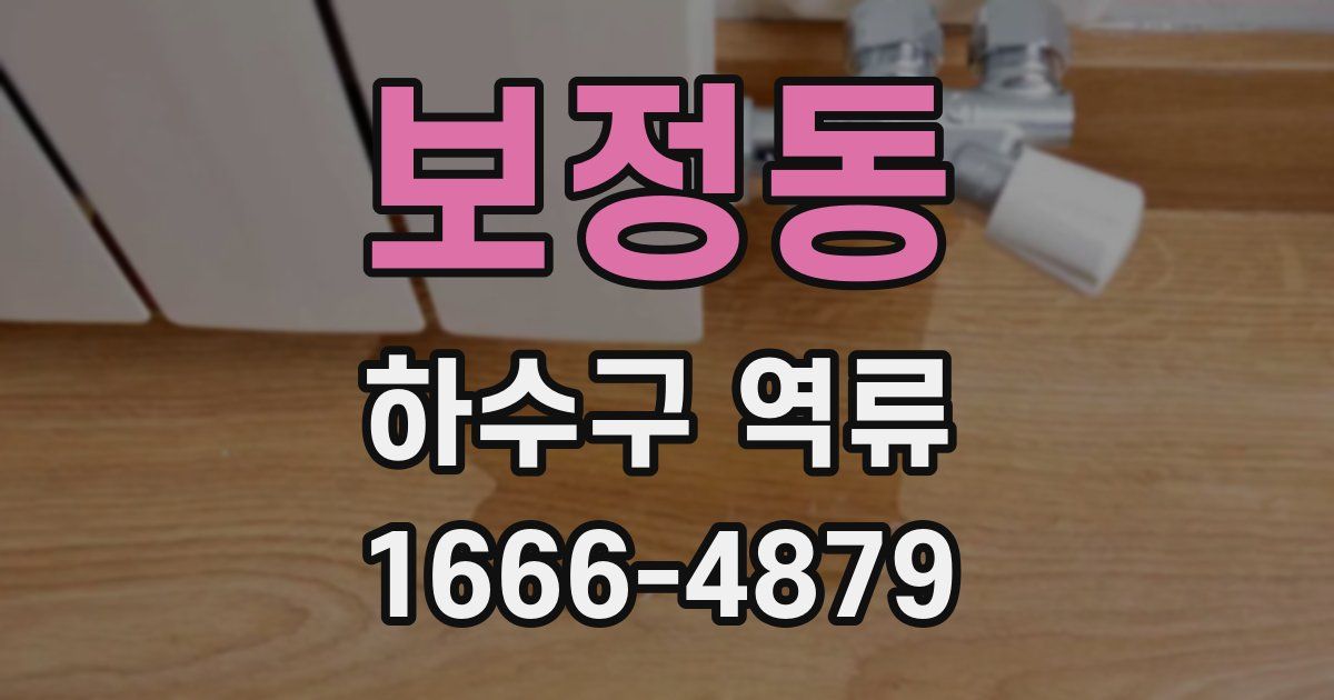보정동 하수구 역류