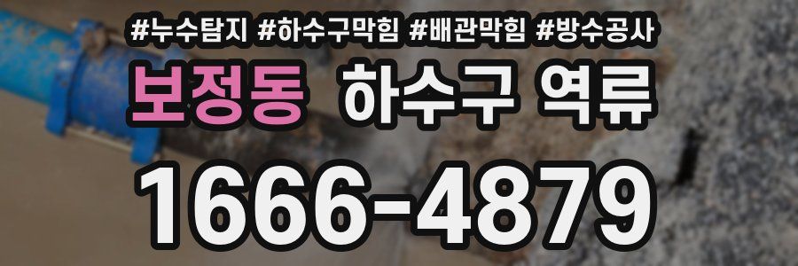 보정동 하수구 역류