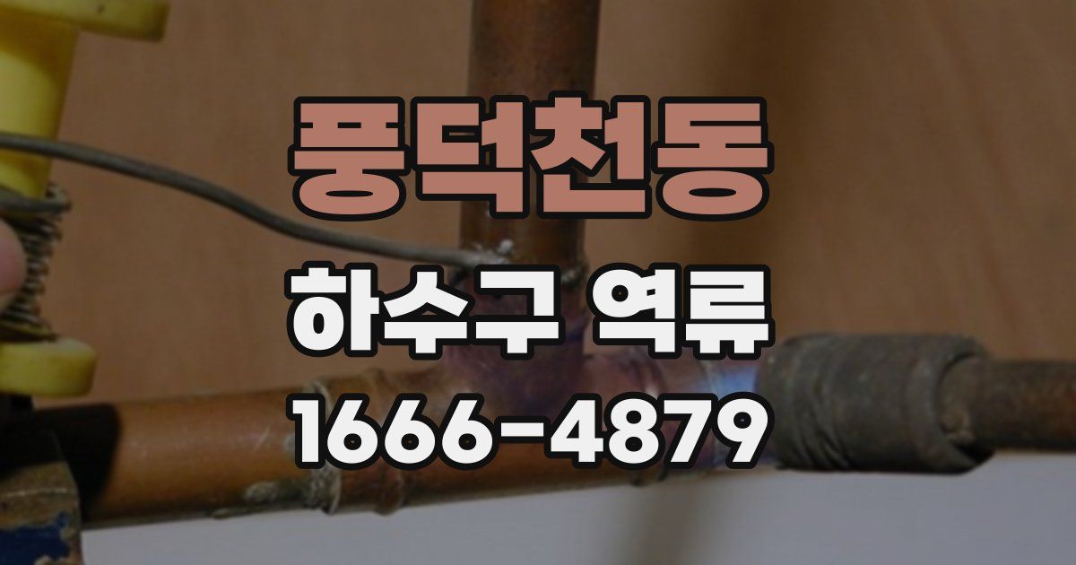풍덕천동 하수구 역류