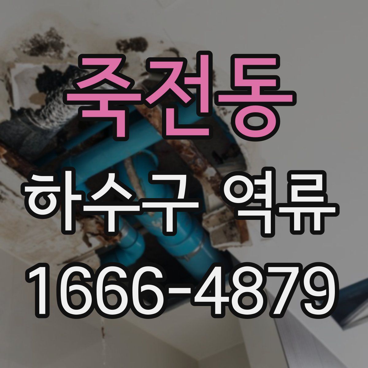 죽전동 하수구 역류
