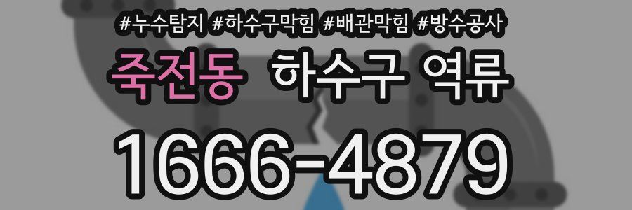죽전동 하수구 역류