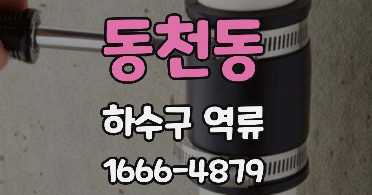동천동 하수구 역류
