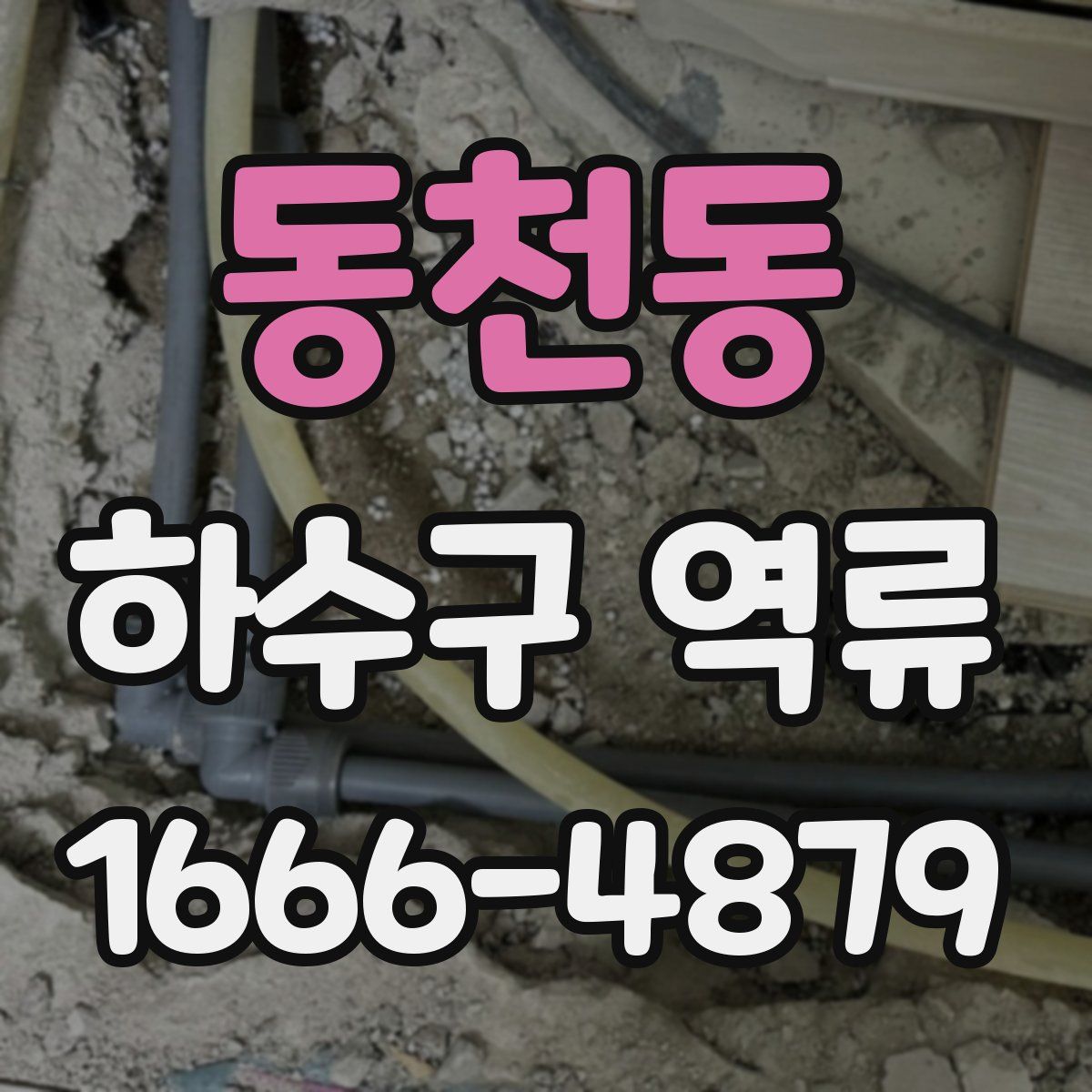 동천동 하수구 역류