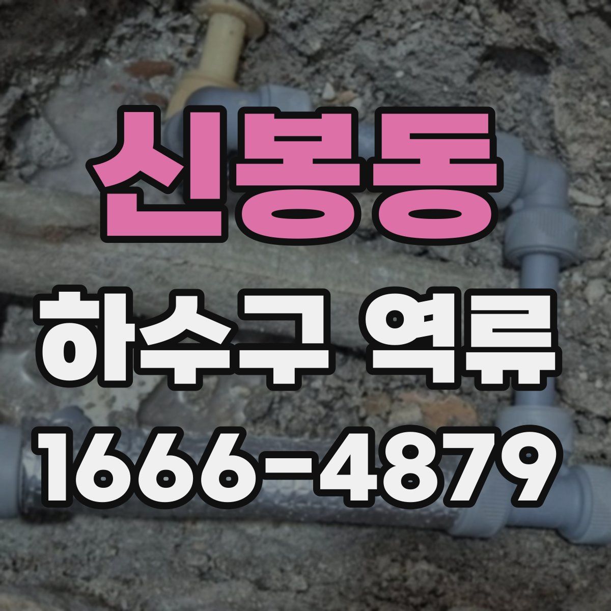 신봉동 하수구 역류