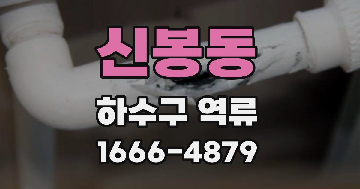 신봉동 하수구 역류