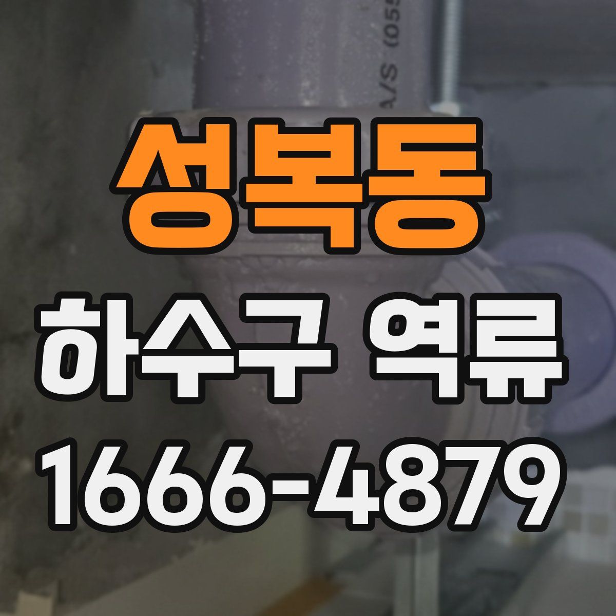성복동 하수구 역류