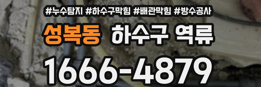 성복동 하수구 역류
