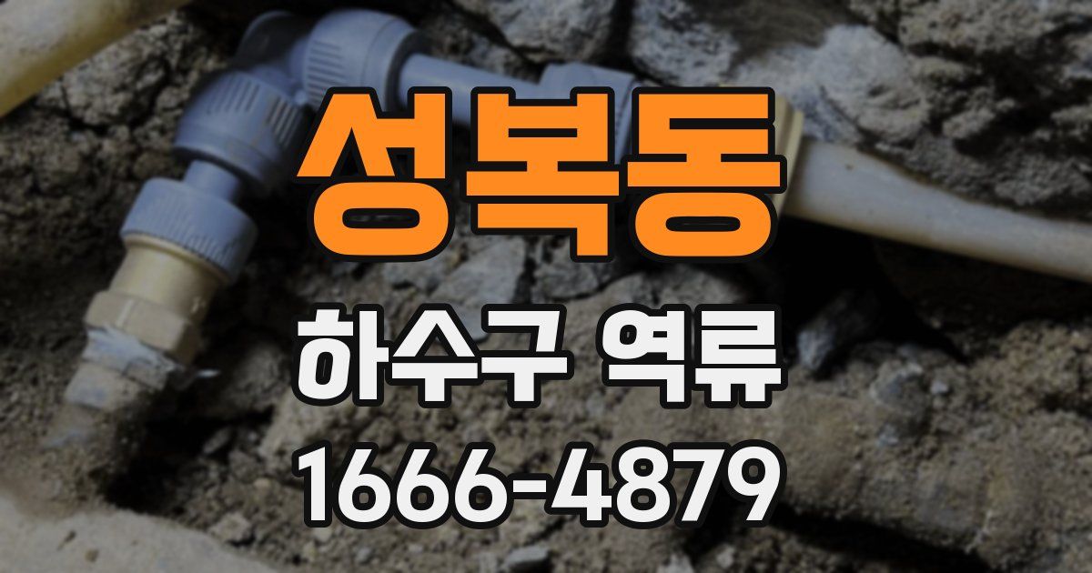 성복동 하수구 역류