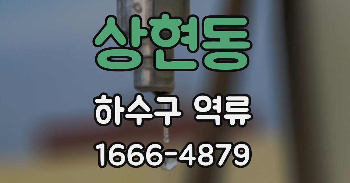 상현동 하수구 역류