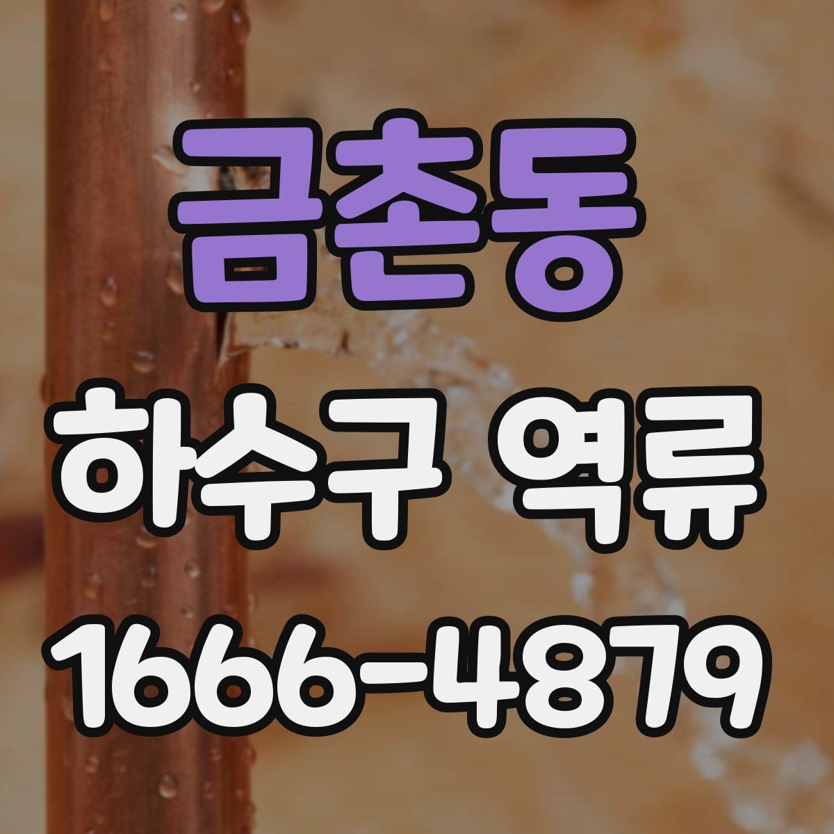 금촌동 하수구 역류