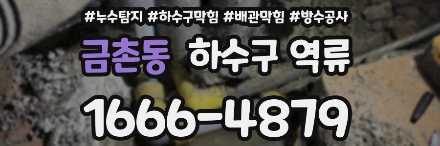 금촌동 하수구 역류
