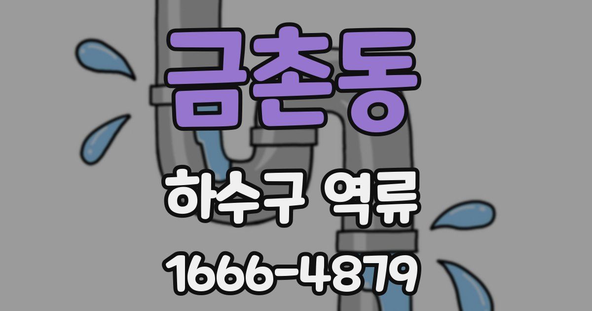 금촌동 하수구 역류