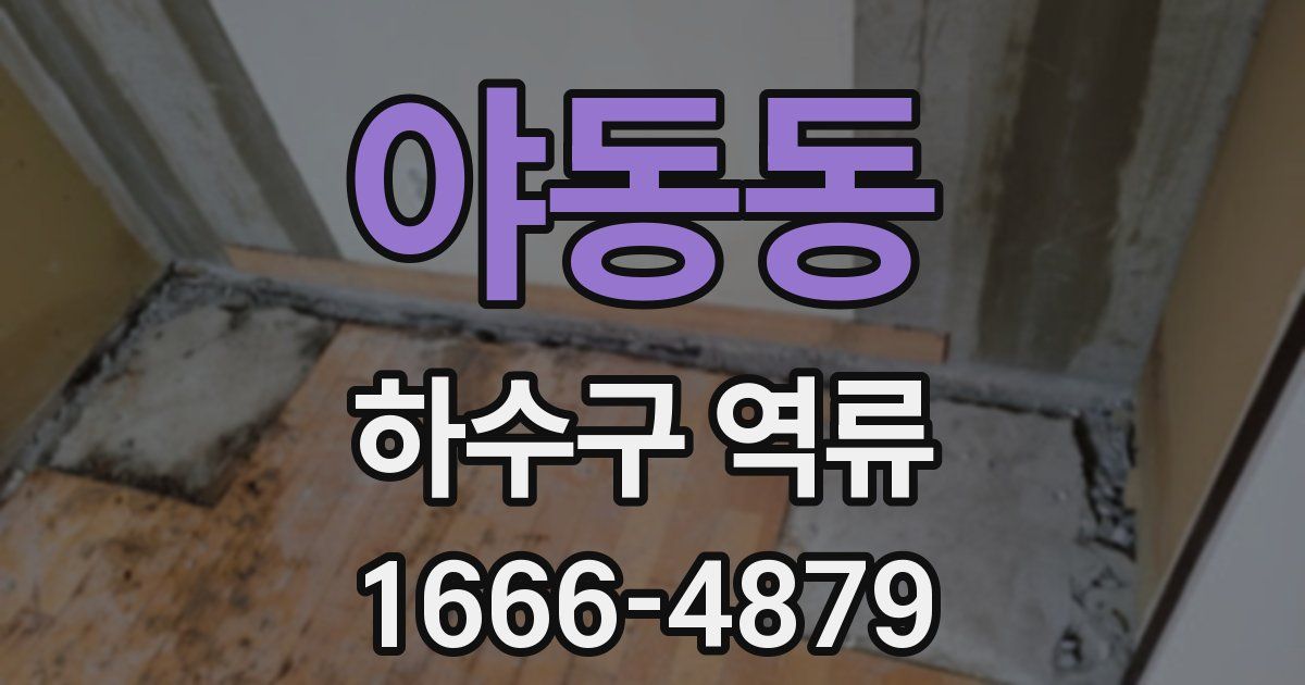 야동동 하수구 역류
