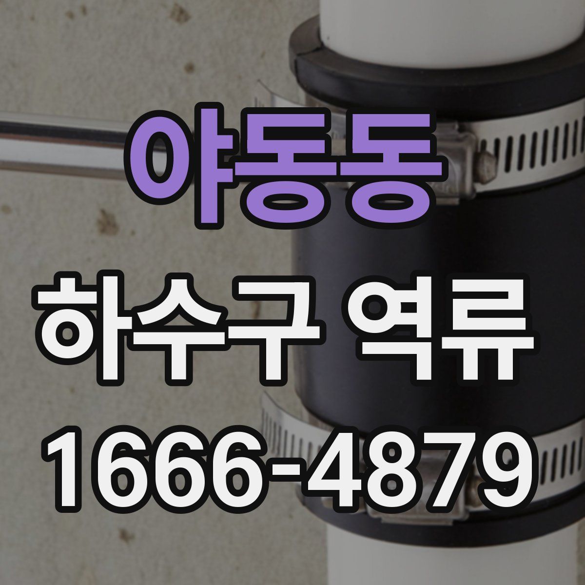 야동동 하수구 역류