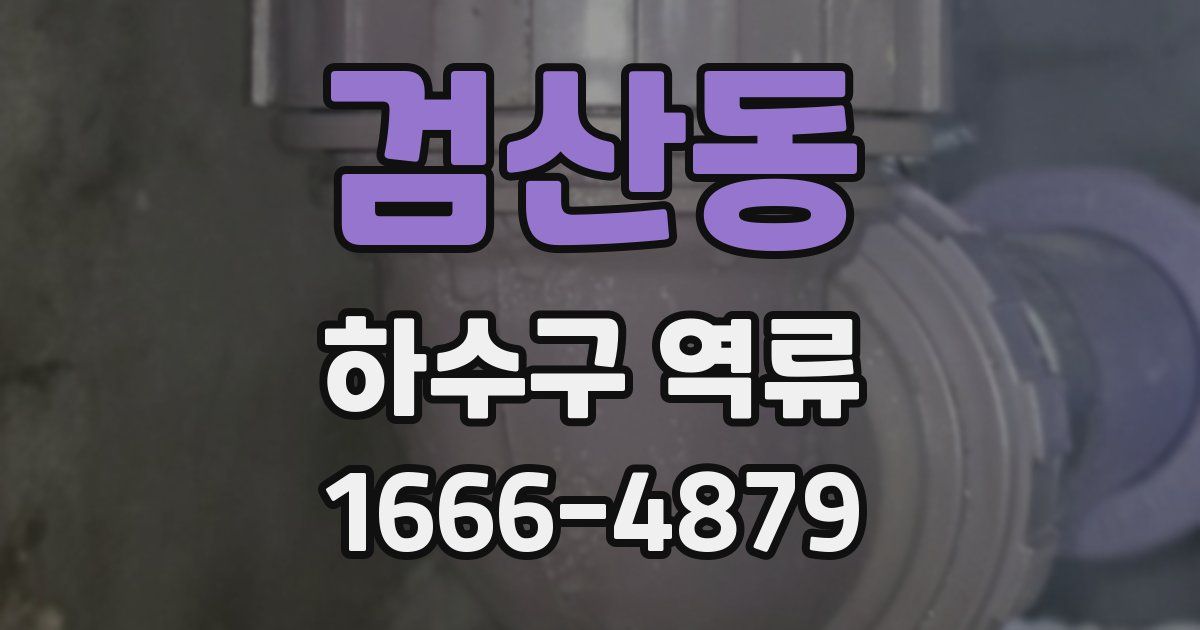검산동 하수구 역류