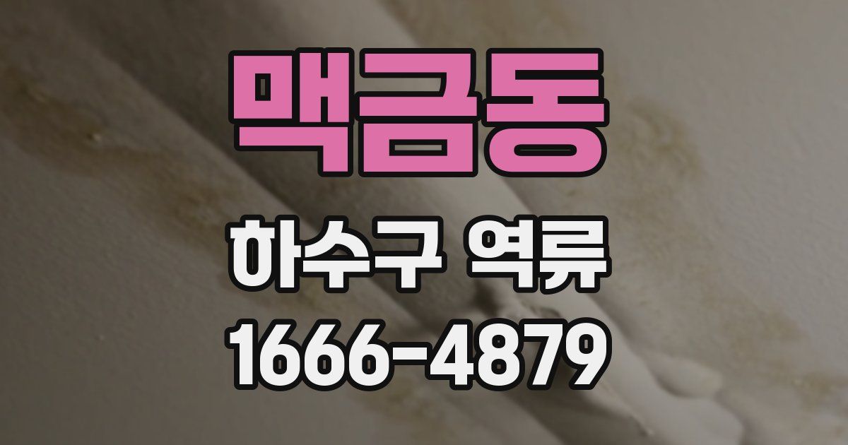 맥금동 하수구 역류