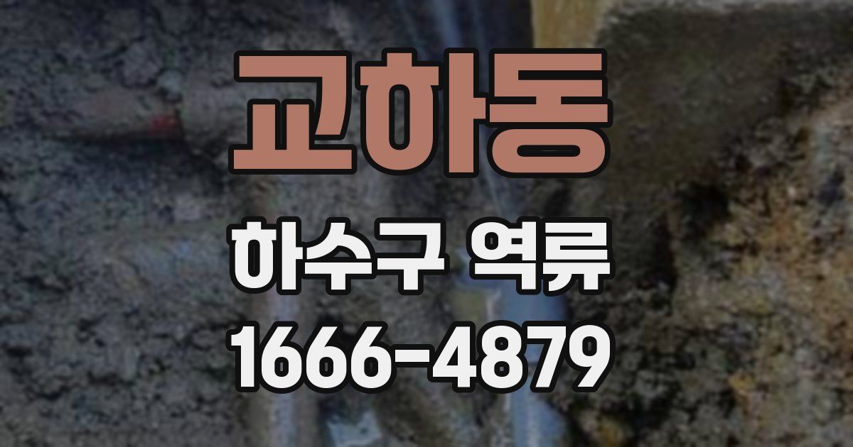 교하동 하수구 역류
