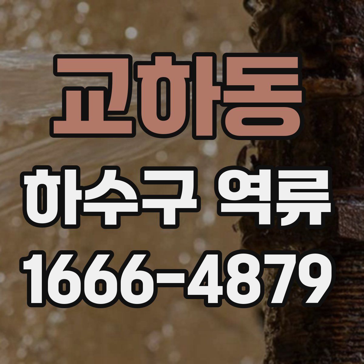 교하동 하수구 역류