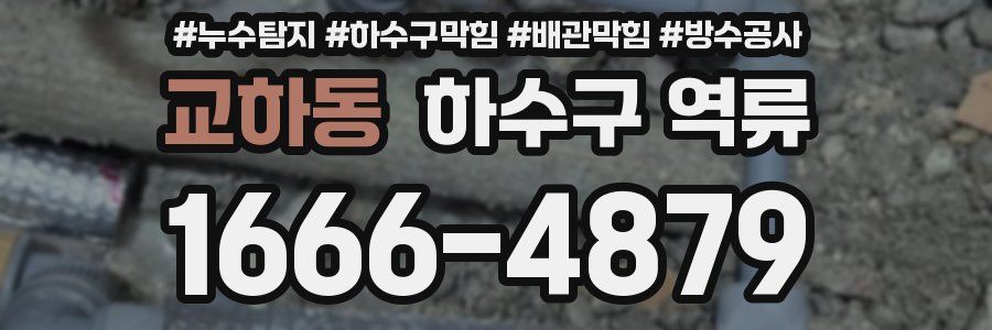 교하동 하수구 역류