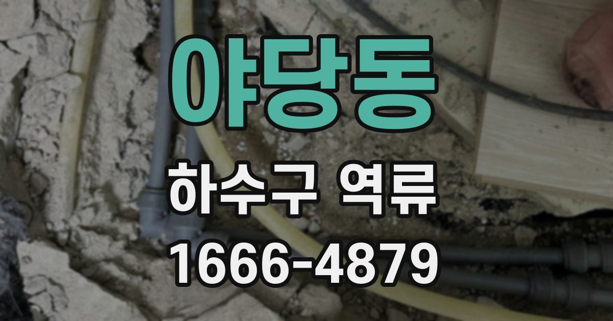 야당동 하수구 역류