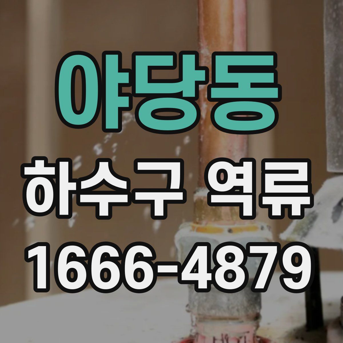 야당동 하수구 역류