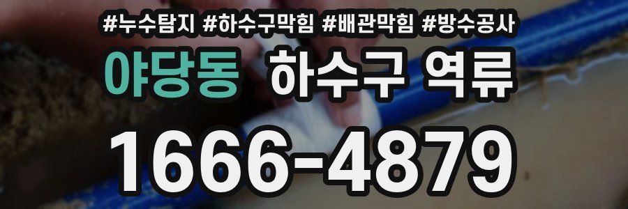 야당동 하수구 역류